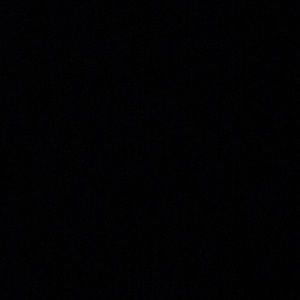 Meet your Posher, Pricilla